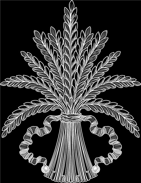 17218447d42e.jpg