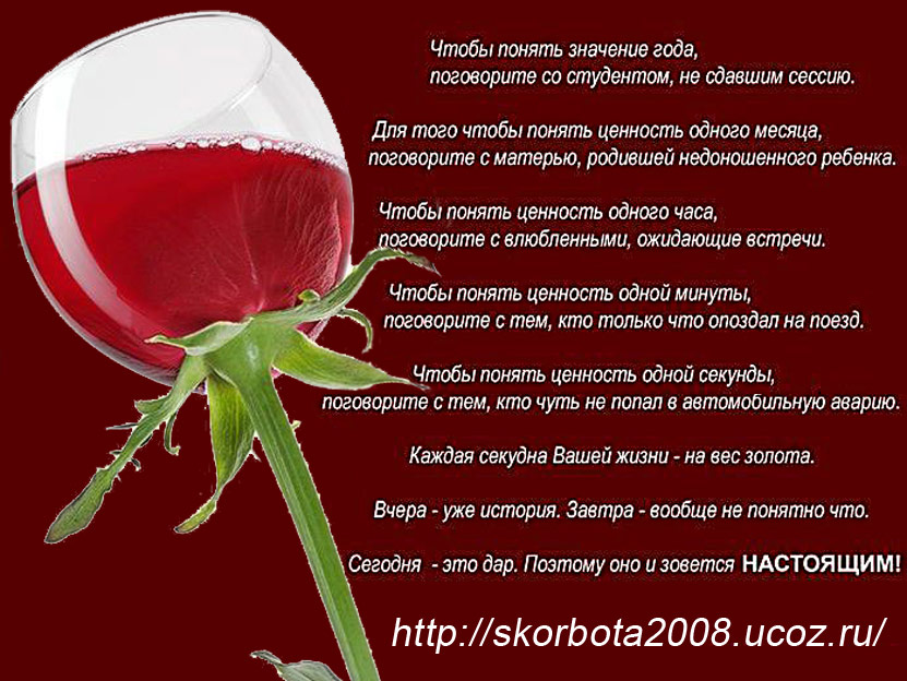 роза-и-текст.jpg