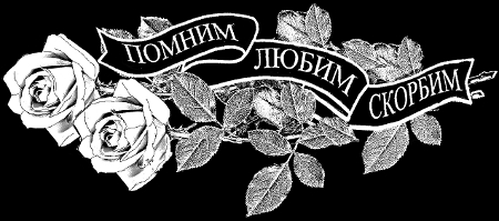 розы.jpg