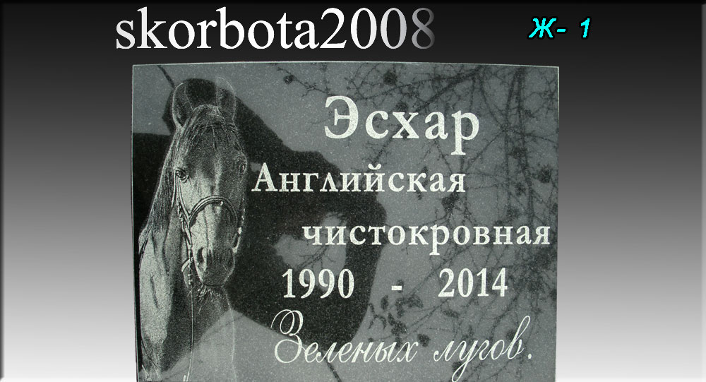 Памятник-лошади-1.jpg