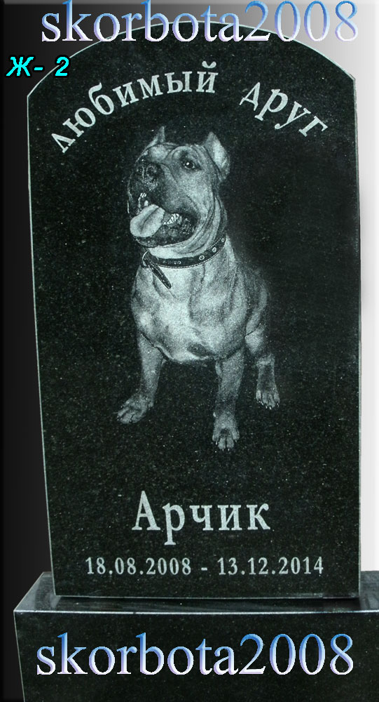 Памятник-собаке-2.jpg