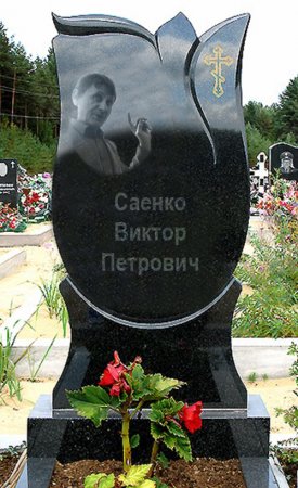 833684.jpg