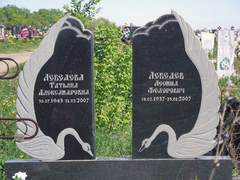 два лебедя.jpg