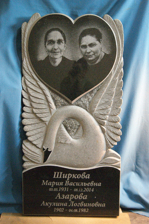 лебедь 2.jpg