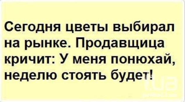 90232522_large_3821971_ytrocveti.jpg