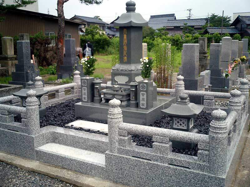 z5.jpg