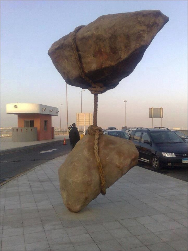 daily_picdump_1573_49__800.jpg