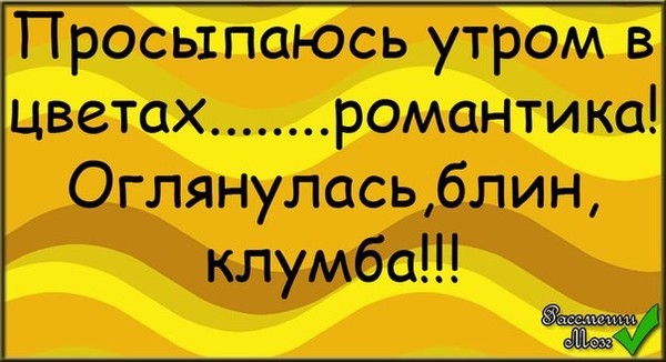 2U9DVIkBvUE.jpg
