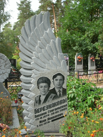 Крыло ангела.JPG
