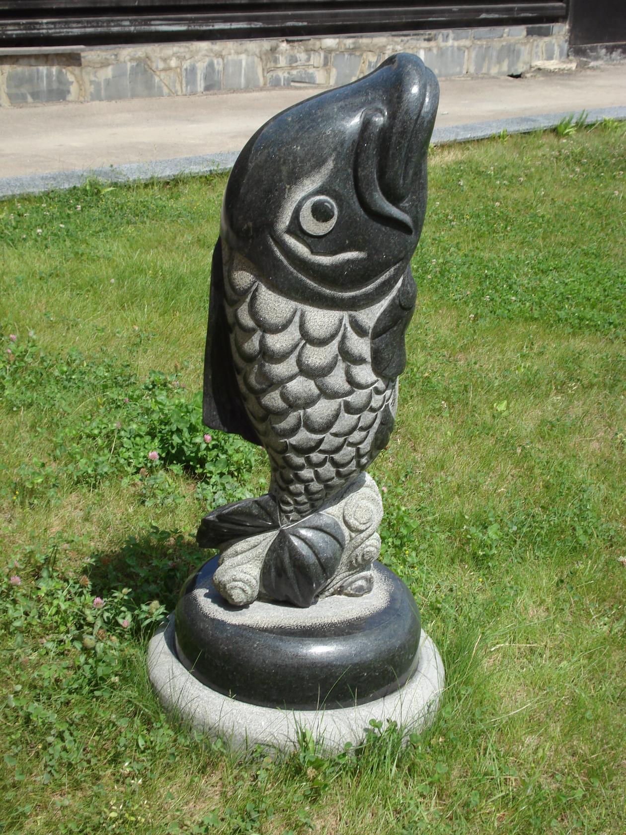 image.jpg