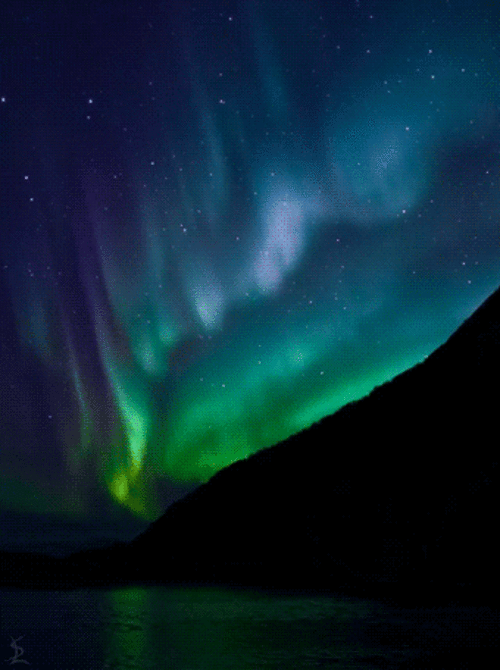 fullsize.gif