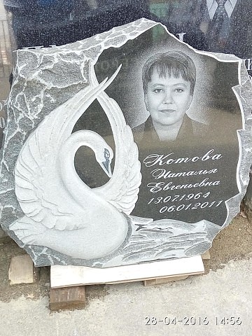 лебедь.jpg