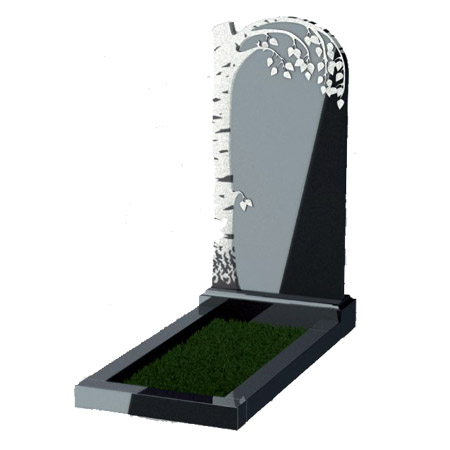 97.jpg