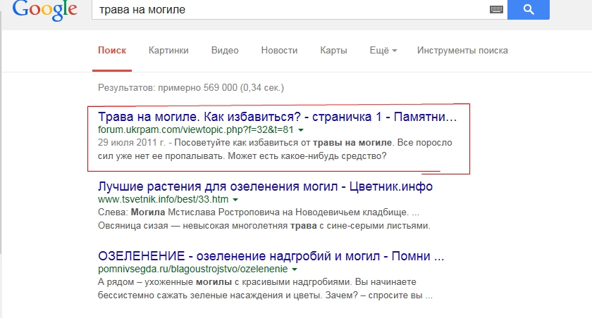 Трава.jpg
