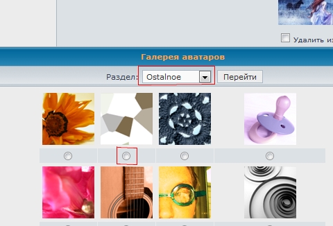 Выбираем раздел.jpg