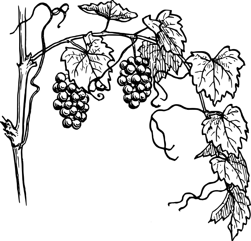 клипарт 3.png