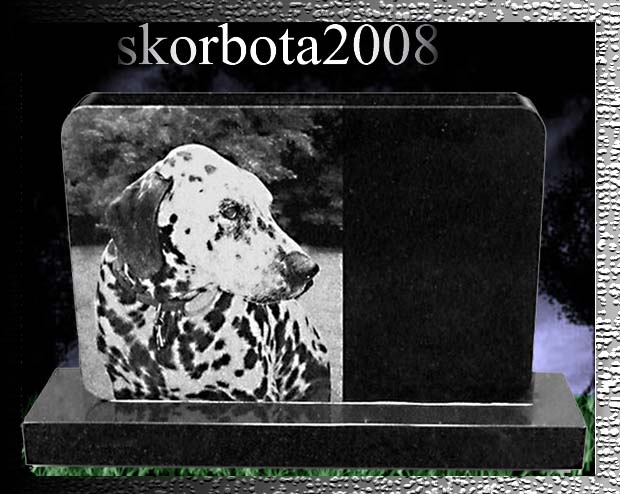 2 памятник животным .jpg