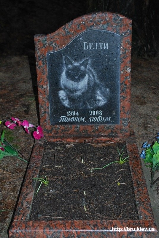 котик памятник.jpg