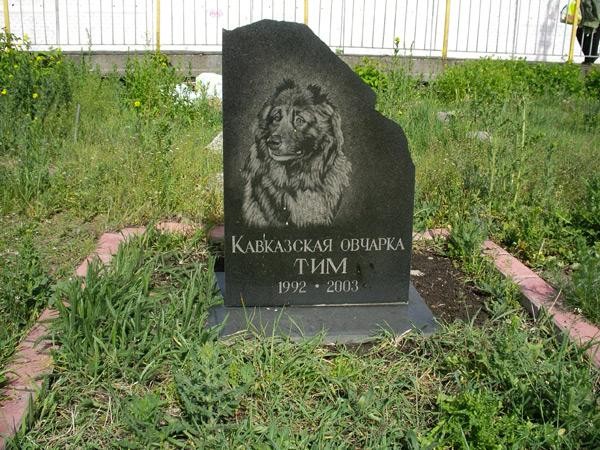 памятник овчарке.jpg