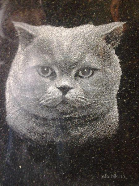 памятник котику.jpg